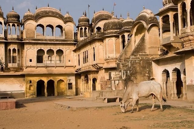 Shekhawati Same Day Trip